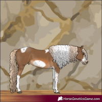 Horse Color:Chocolate Palomino Tobiano Frame 