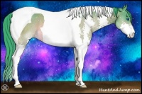 Horse Color:Watercolor Brown Roan Splash Tobiano Rabicano 