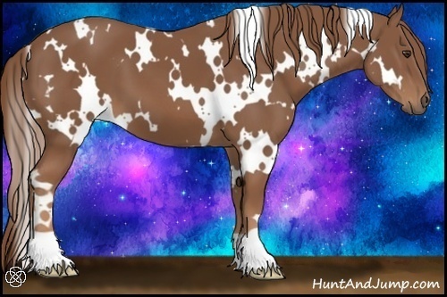 Horse Color:White Spotted Chestnut 