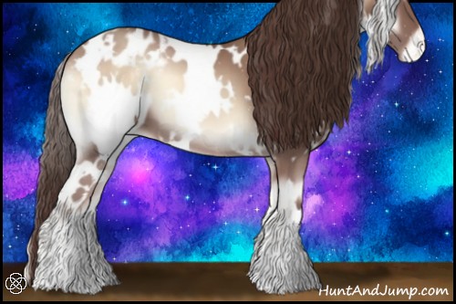 Horse Color:White Spotted Classic Champagne Onyx Appaloosa