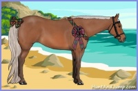 Horse Color:Silver Bay Roan