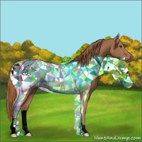 Horse Color:Void Chestnut 