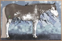 Horse Color:Silver Black Sabino 
