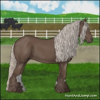 Horse Color:Silver Black 