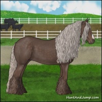 Horse Color:Silver Black 
