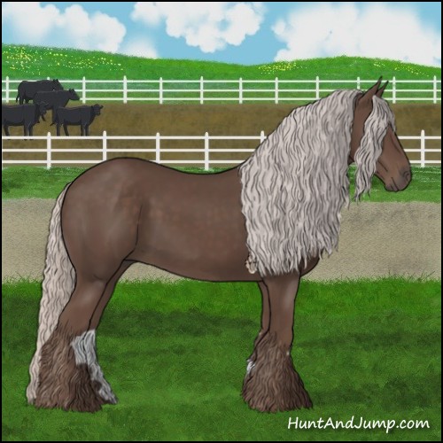 Horse Color:Silver Black