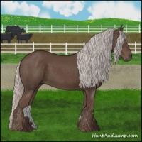 Horse Color:Silver Black 