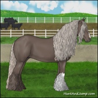 Horse Color:Silver Black 