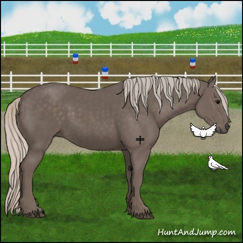 Horse Color:Silver Black Frame 