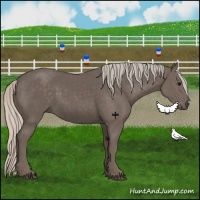 Horse Color:Silver Black Frame 