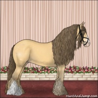 Horse Color:Amber Cream Champagne 