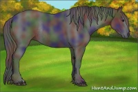 Horse Color:Nacre Black Rabicano 