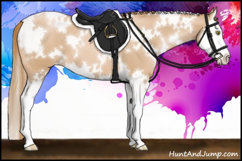 Horse Color:White Spotted Chestnut Pearl Sabino Splash 