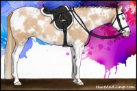 Horse Color:White Spotted Chestnut Pearl Sabino Splash 