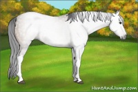 Horse Color:Gray Brown Dun Tobiano Rabicano