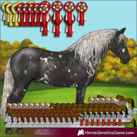 Horse Color:White Spotted Liver Chestnut Mushroom and White Spotted Liver Chestnut Mushroom