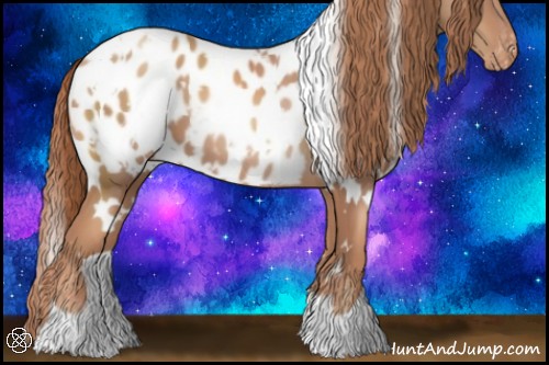 Horse Color:White Spotted Gold Champagne Blanket