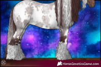Horse Color:White Spotted Chocolate Brown Roan