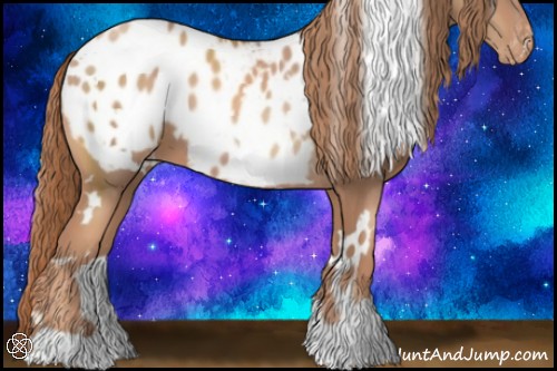 Horse Color:White Spotted Gold Champagne Appaloosa