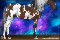 Horse Color:White Spotted Brown 