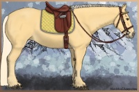 Horse Color:Palomino