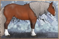 Horse Color:Silver Bay Roan 