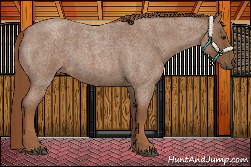 Horse Color:Red Roan