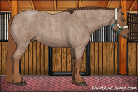 Horse Color:Red Roan 
