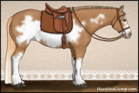 Horse Color:Chestnut Splash Frame