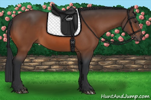 Horse Color:Brown 