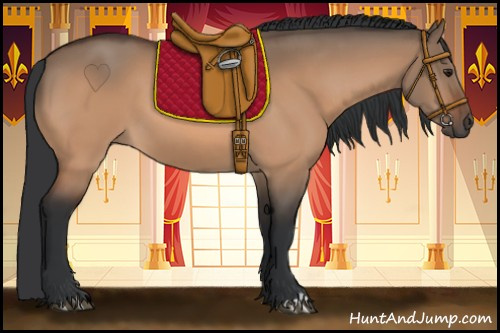 Horse Color:Brown Dun