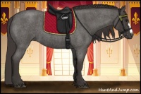 Horse Color:Smoky Blue Roan 