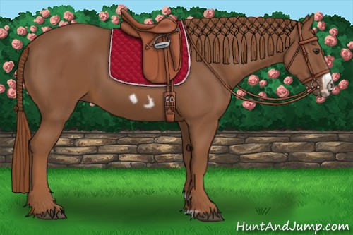 Horse Color:Chestnut Frame