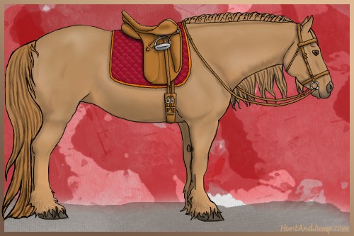 Horse Color:Chestnut Frame 