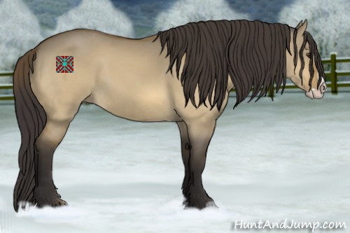 Horse Color:Buckskin Dun Splash 