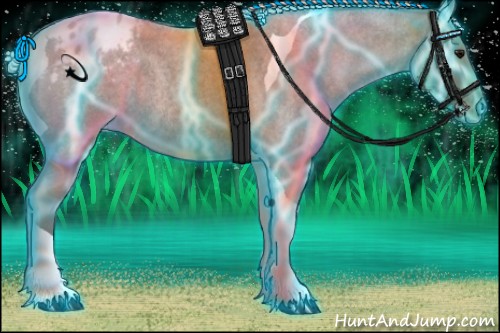 Horse Color:Thunderstruck Silver Grullo Roan Tobiano Appaloosa Rabicano 