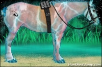 Horse Color:Thunderstruck Silver Grullo Roan Tobiano Appaloosa Rabicano