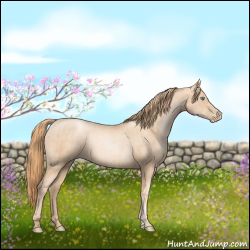 Horse Color:Gold Champagne Pearl Rabicano and Gold Champagne Pearl Rabicano