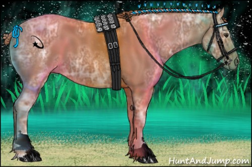 Horse Color:White Spotted Chestnut Ice 