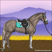 Horse Color:Silver Grullo Rabicano 