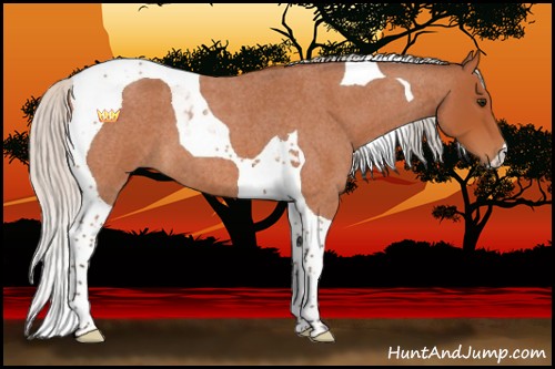 Horse Color:Silver Bay Roan Tobiano 