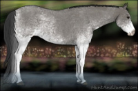 Horse Color:White Spotted Grullo Roan