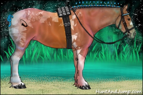 Horse Color:Bay Tobiano 