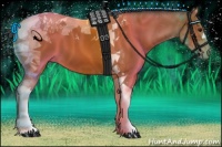 Horse Color:Bay Tobiano