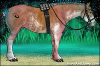 Horse Color:Chocolate Palomino Sabino 