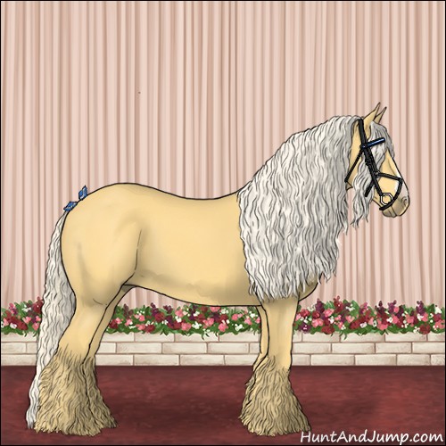 Horse Color:Palomino 