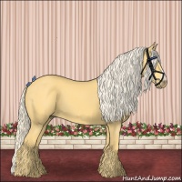 Horse Color:Palomino 