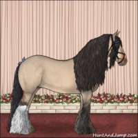 Horse Color:Brown Dun 