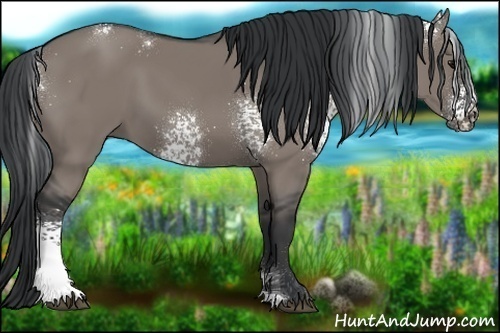 Horse Color:White Spotted Grullo 