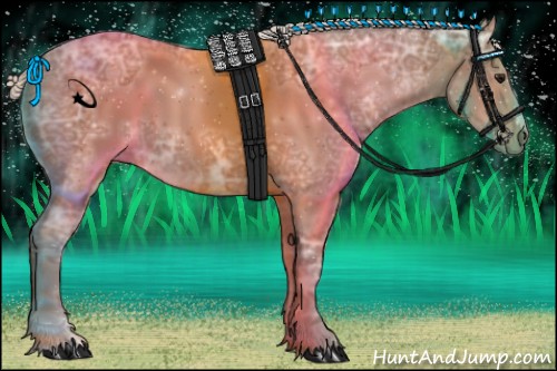 Horse Color:Silver Bay Ice 